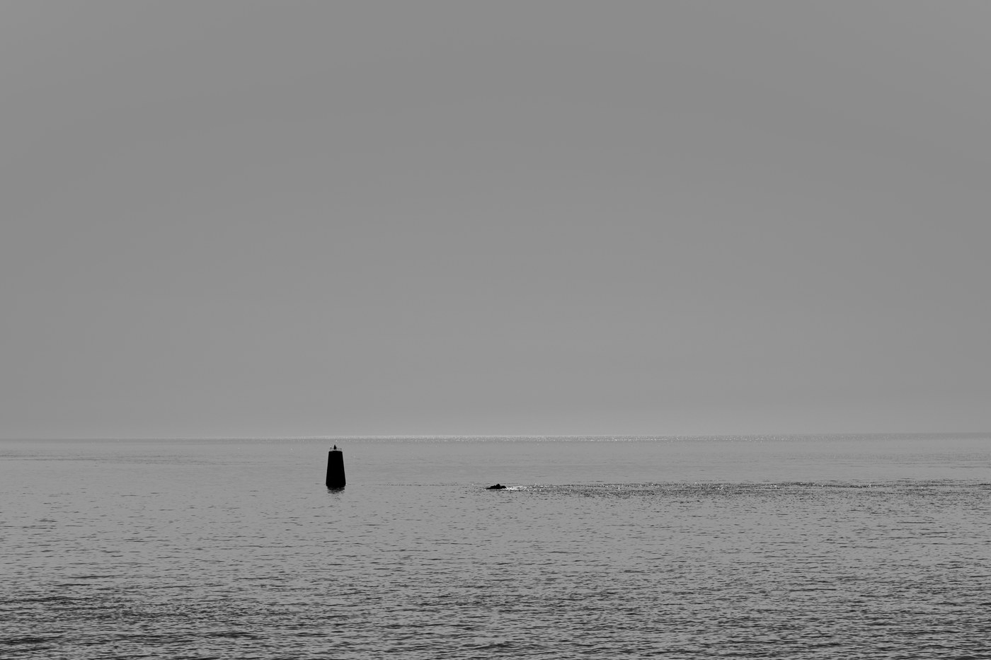 Une balise sombre, seule au milieu d'une mer étale ; l'horizon coupe l'image en deux et le ciel occupe toute la moitié haute, vide.