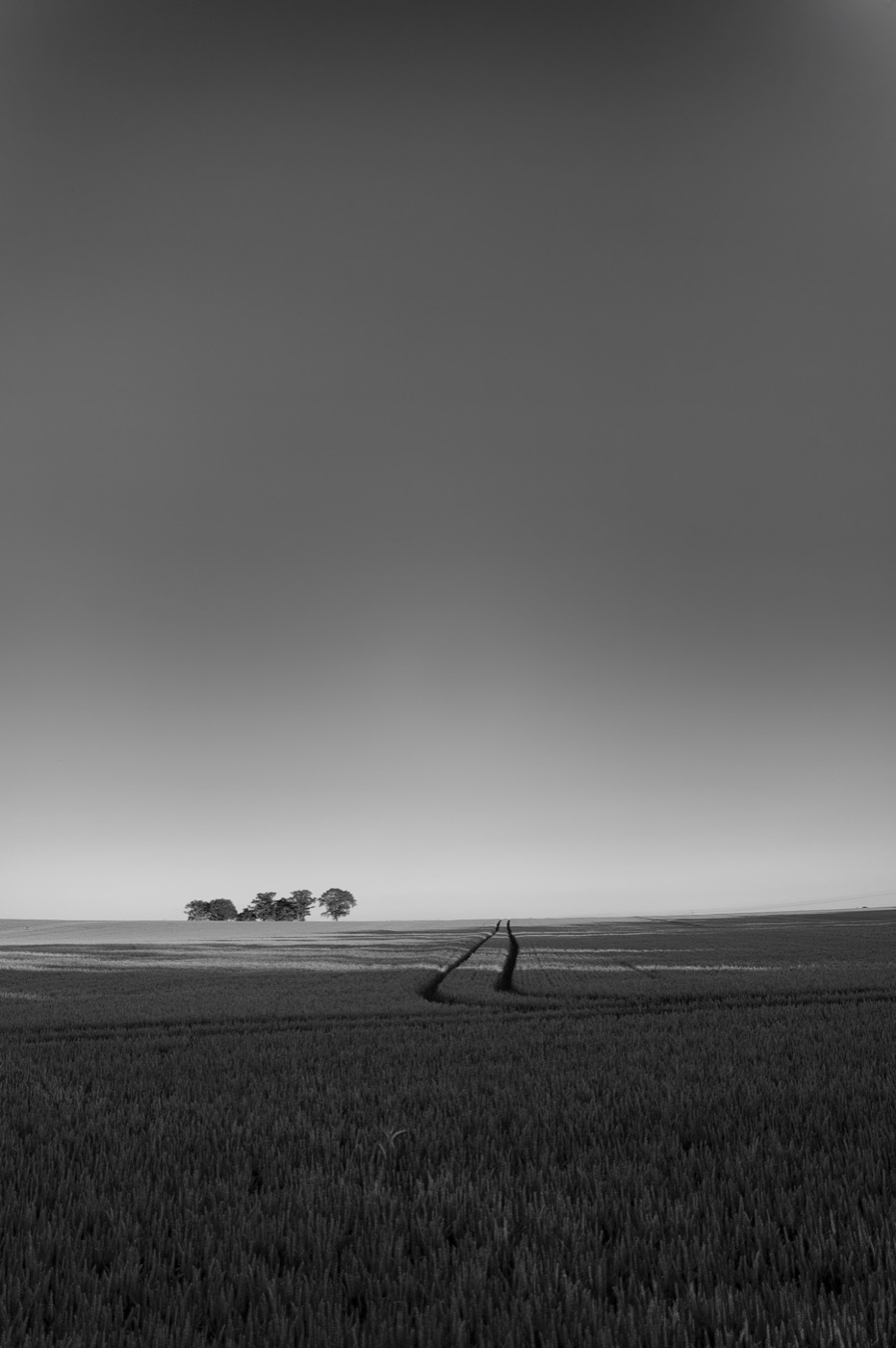 Un ciel vide occupe les deux tiers du cadre. Au-dessous, un champ de céréales s'étend jusqu'à l'horizon : un bosquet d'arbres s'y détache à gauche, et deux traces de roues s'enfoncent dans les épis vers la droite.