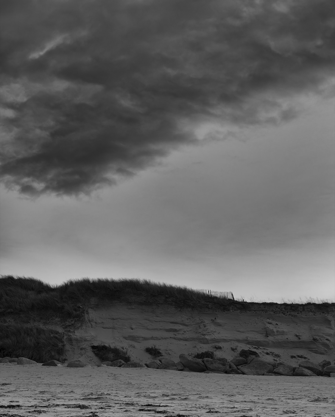 Une dune sombre sous un ciel lourd, la matière de l'herbe et du sable contre les nuages.