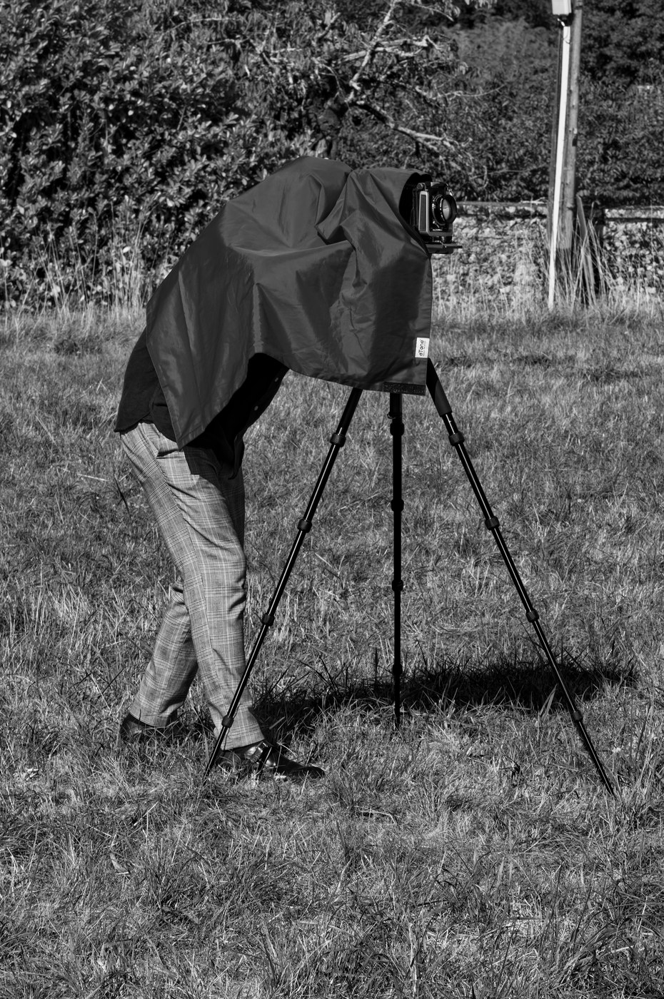 Un photographe entièrement caché sous le voile noir de sa chambre photographique, penché derrière un trépied planté dans l'herbe.