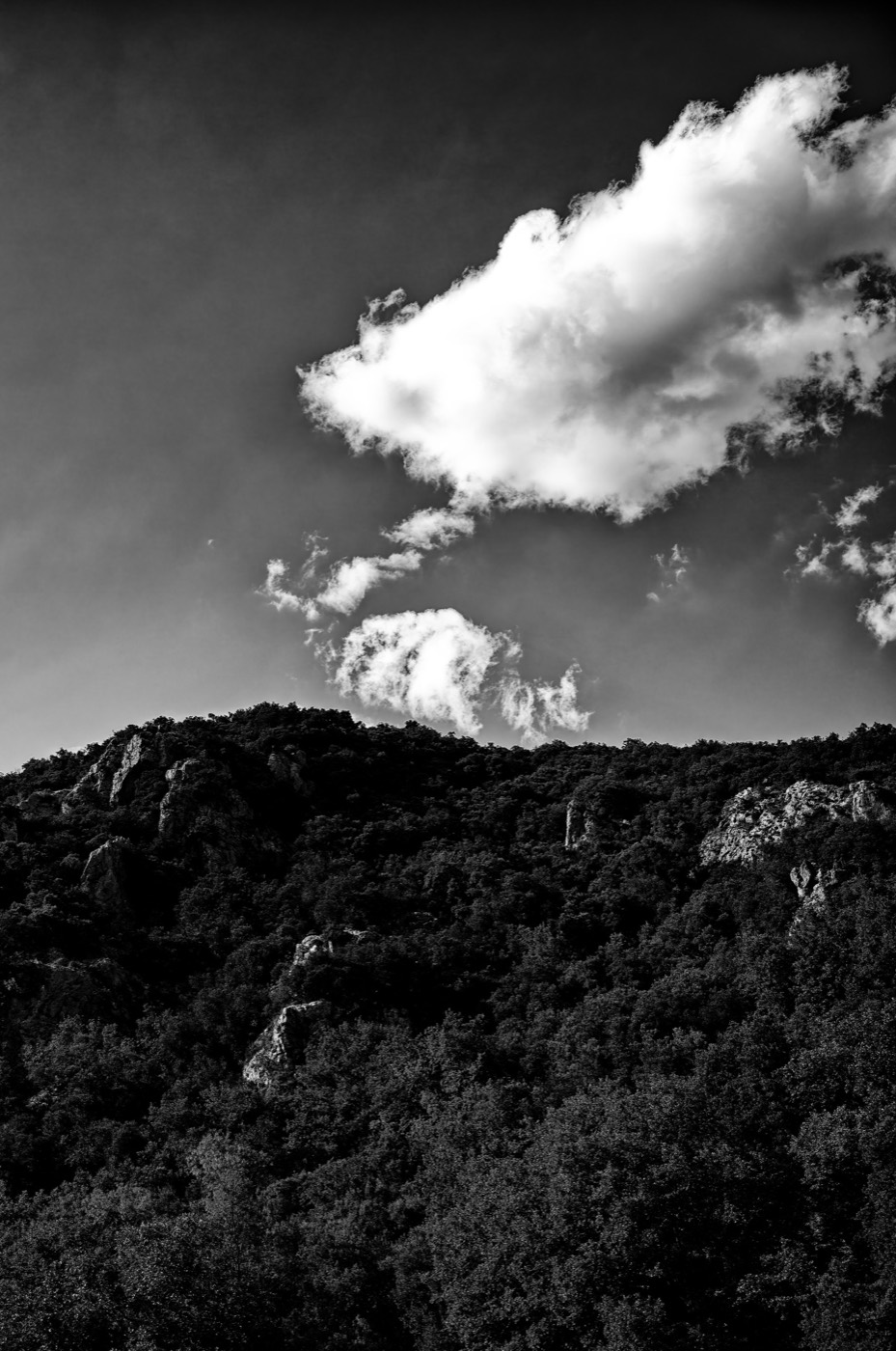 Un nuage en haut à droite du cadre ; au-dessous, une ligne de crête et des arbres en noir.